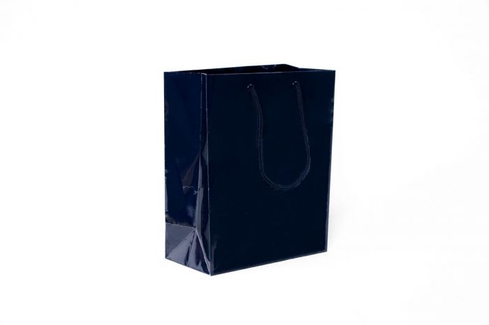 8 x 4 x 10'' Gloss Euro-Tote Bags 100/cs