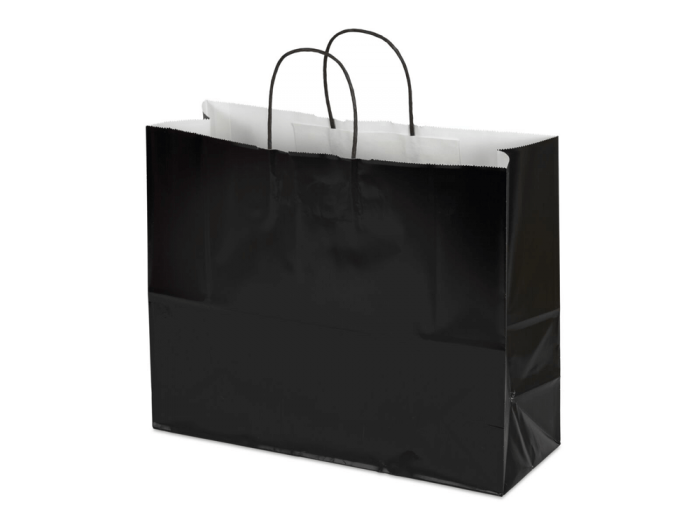 16 x 6 x 12" Colored Paper Shopping Bags 100/cs