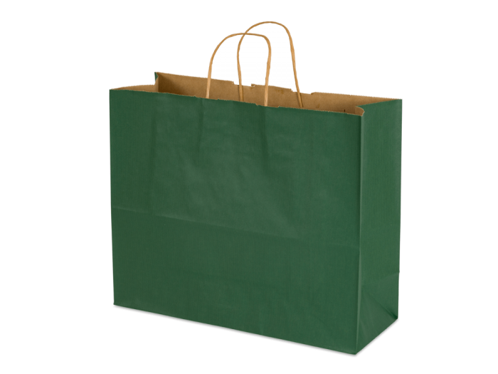 16 x 6 x 12" Colored Paper Shopping Bags 100/cs