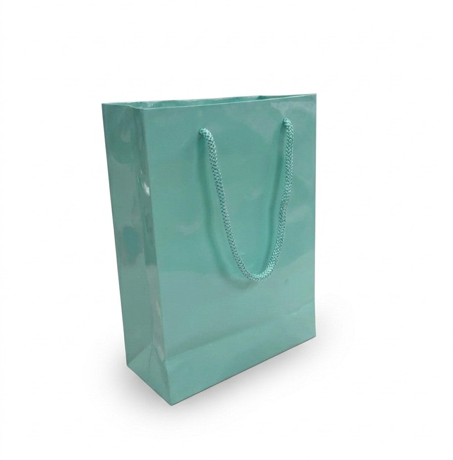 6 x 3 x 8" Gloss Euro Tote Bags 100/cs
