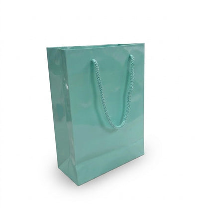 6 x 3 x 8" Gloss Euro Tote Bags 100/cs