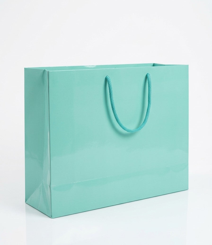 16 x 6 x 12'' Gloss Euro-Tote 100/cs