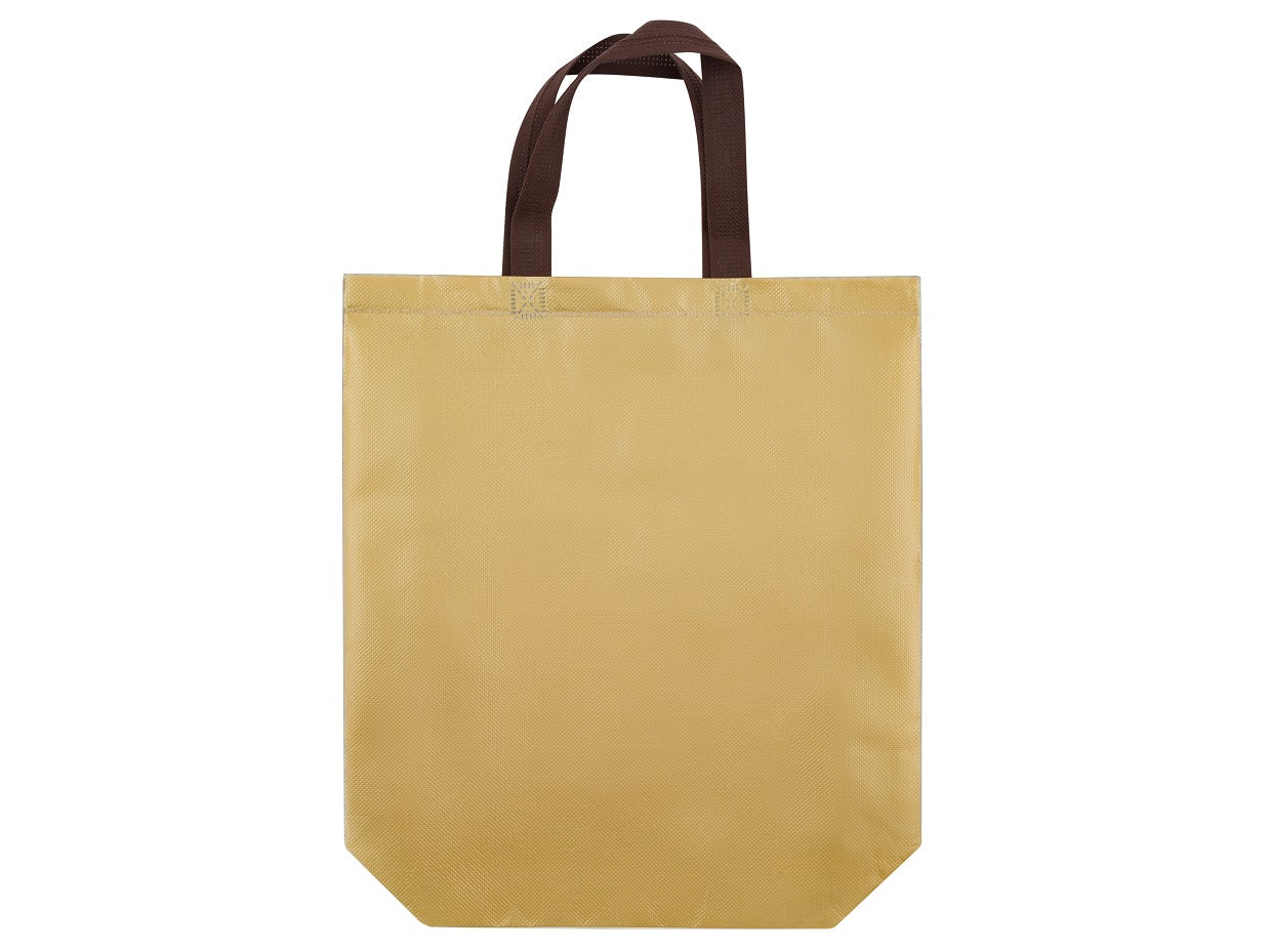 13 x 4 x 14 Laminated Non-Woven Bag 100/cs