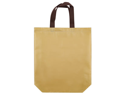 13 x 4 x 14 Laminated Non-Woven Bag 100/cs