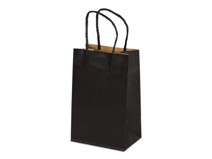 8 x 4.75 x 10.5" Colored Paper Shopping Bags 100/cs
