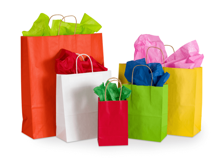 5.25 x 3.5 x 8.25 Colored Paper Shopping Bags 250/cs