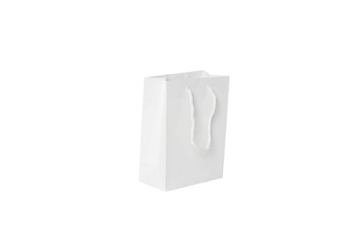 6 x 3 x 8" Gloss Euro Tote Bags 100/cs