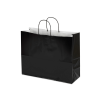 16 x 6 x 12" Colored Paper Shopping Bags 250/cs