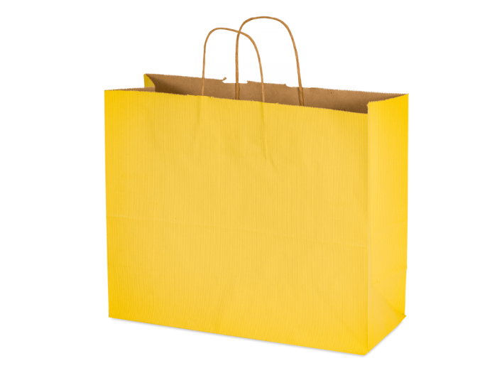 16 x 6 x 12" Colored Paper Shopping Bags 100/cs