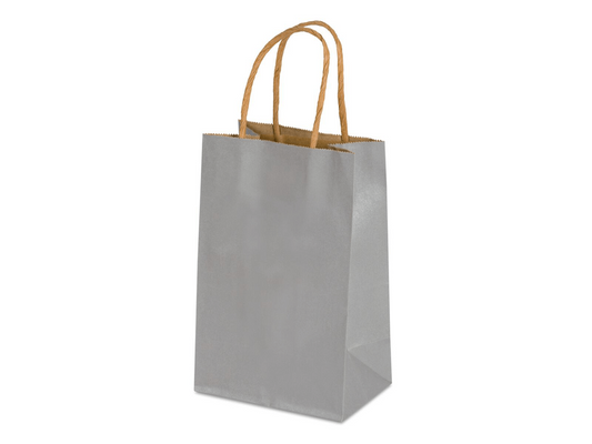 5.25 x 3.5 x 8.25 Colored Paper Shopping Bags 250/cs - Silver