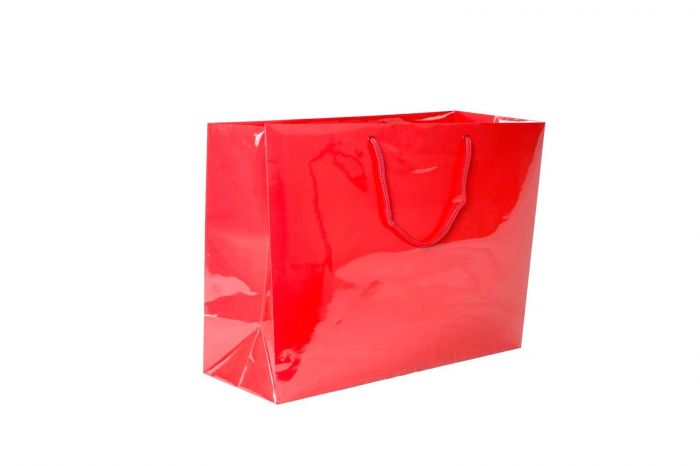 16 x 6 x 12'' Gloss Euro-Tote 100/cs