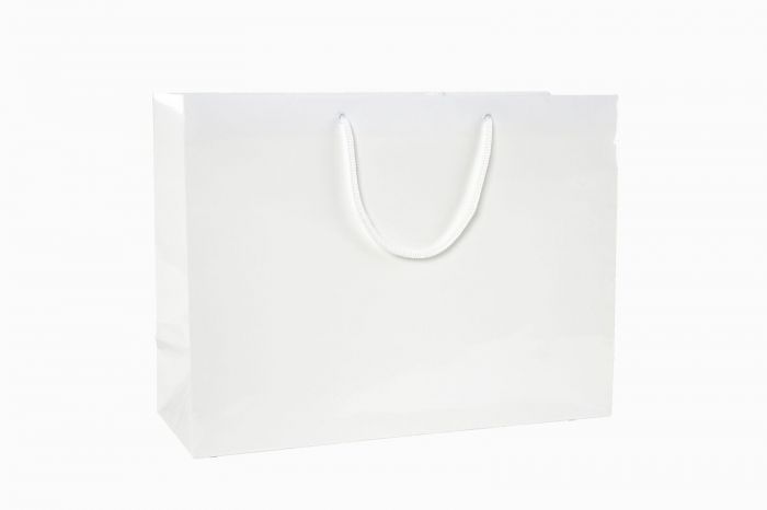 16 x 6 x 12'' Gloss Euro-Tote 100/cs