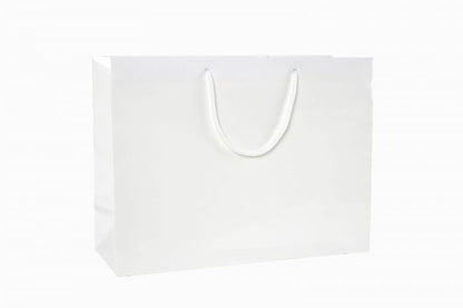 16 x 6 x 12'' Gloss Euro-Tote 100/cs