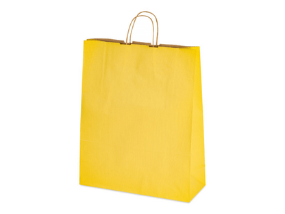 8 x 4.75 x 10.5" Colored Paper Shopping Bags 100/cs